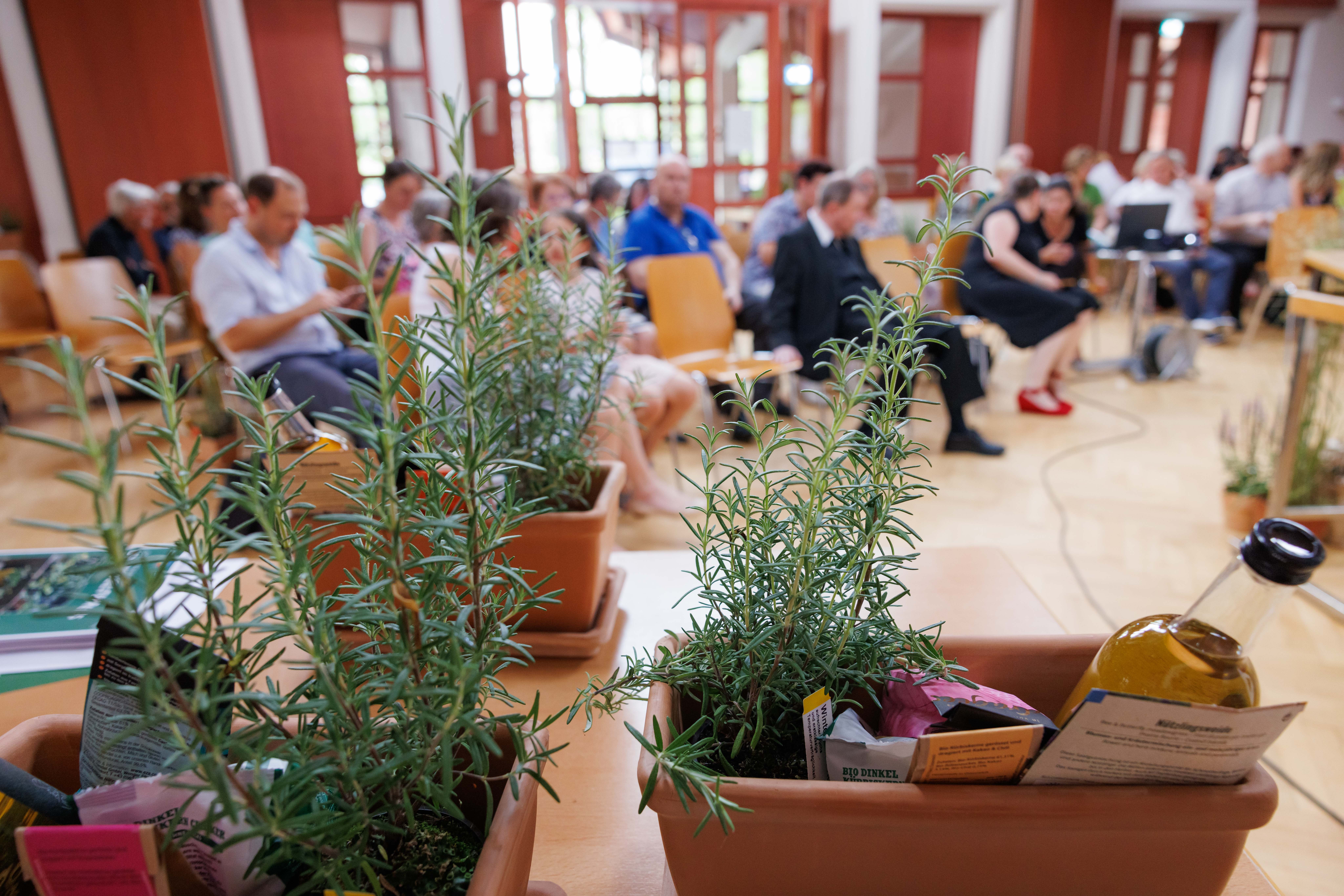 Sonntagsblatt/Gerd Neuhold, Gerd Neuhold